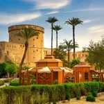 Gallery Thumbnail 10