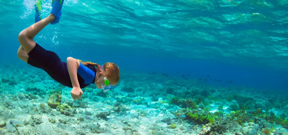 Private Snorkeling Tour In Hurghada
