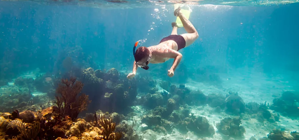 Private Snorkeling Tour In Hurghada