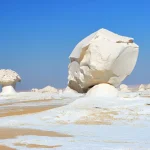 Gallery Thumbnail 12