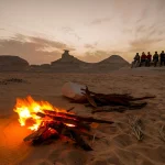 Gallery Thumbnail 12