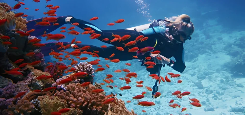 Scuba Diving Tour from Hurghada