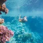 Gallery Thumbnail 14