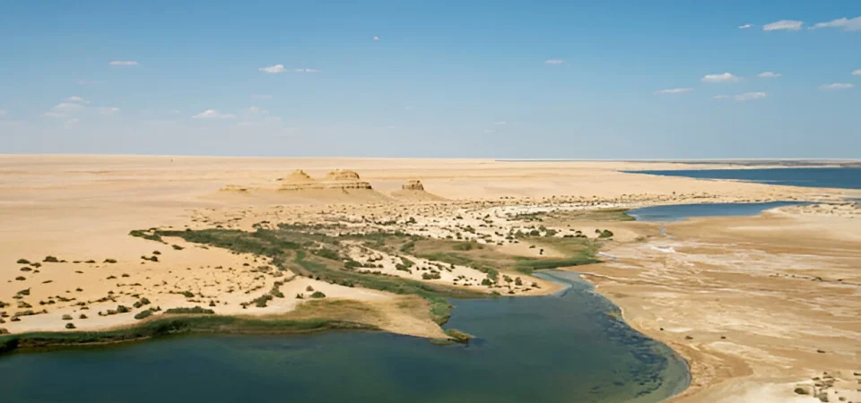 Tour to Fayoum Oasis From Cairo