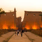 Gallery Thumbnail 11