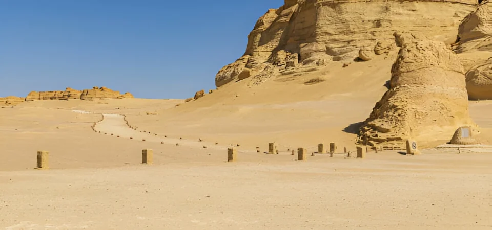 Wadi El Hitan and Desert Safari