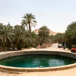 Gallery Thumbnail 14